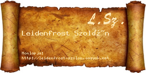Leidenfrost Szolón névjegykártya